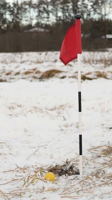 THIS IS СНЕГОГОЛЬФ #pinzgauer #stels #guepard #diesel #puch #снегогольф #golf #зима #снег