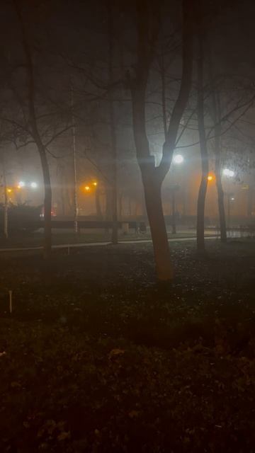 Одинокий саксофонист на туманном бульваре Пушкина в Донецке