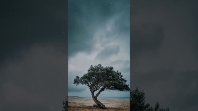 TracKilevskiy - Factumque est ita. ( прогрессив транс и дрим транс на латыни )