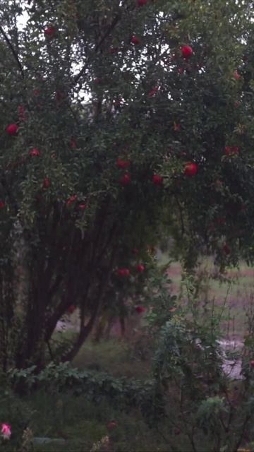 Прочувствовать эту атмосферу