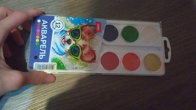 VID_20251118_062251.mp4