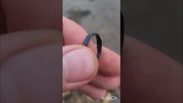 коп по осени..#отдых#увлечение##