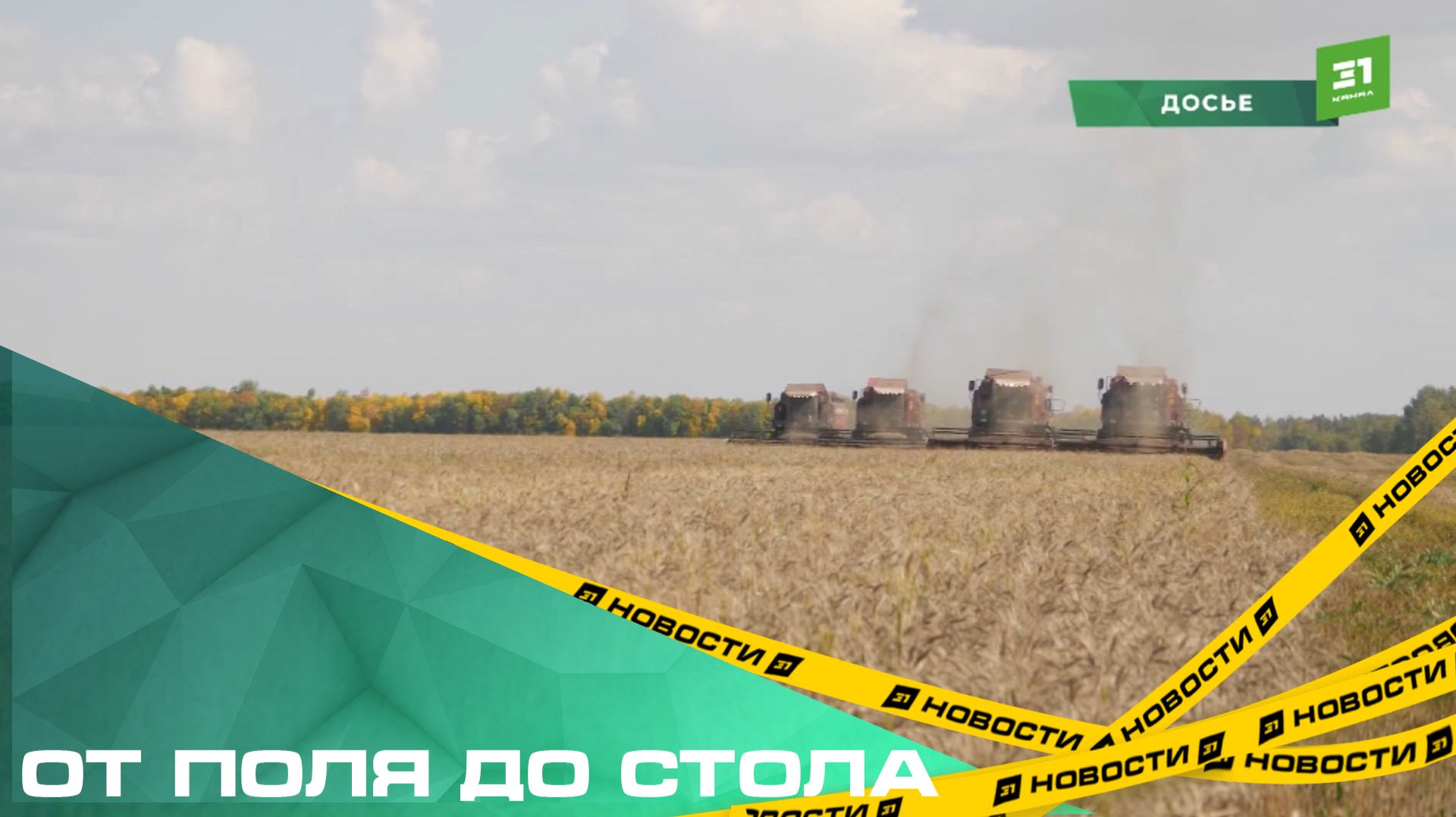 От поля до стола. Лучшие агрономы получили заслуженное признание за свой нелегкий труд