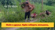 Muôn и друзья из Вьетнама. Идём собирать женьшень, чтобы продать.