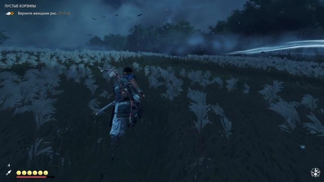 Пустые корзины Войти в лес Вернуть женщине рис Ghost of Tsushima Призрак Цусимы