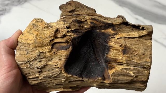 Декоративная ваза НЕБО И ЗЕМЛЯ, стекло, дерево, голубая, 17 см, 829544