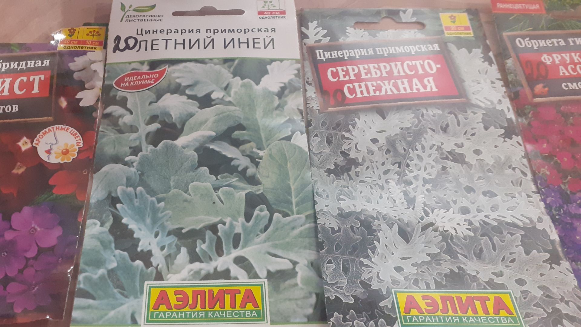 26.11.2025 Какие семена купила и что для растений купить планирую?