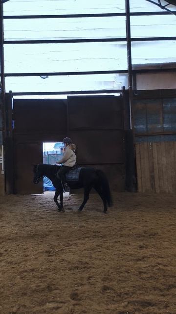 Василиса и Наоми, шаг в манеже.