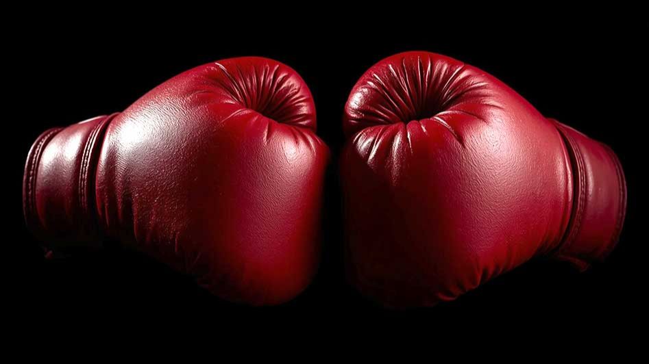 В Сочи завершились тренировки сборной России по боксу