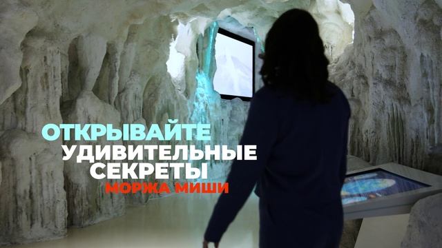 Тайны Мишиного мира: видеоинструкция.