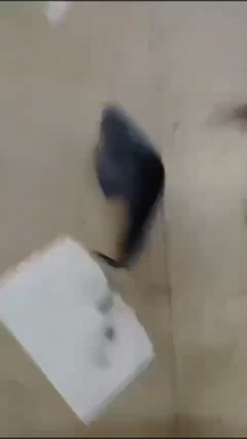 Наглядно, как украинские диверсанты и их помощники действуют на территории РФ.