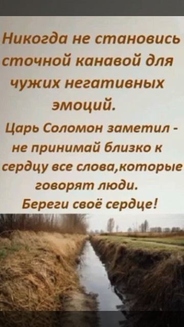 video_11115398632818.mp4