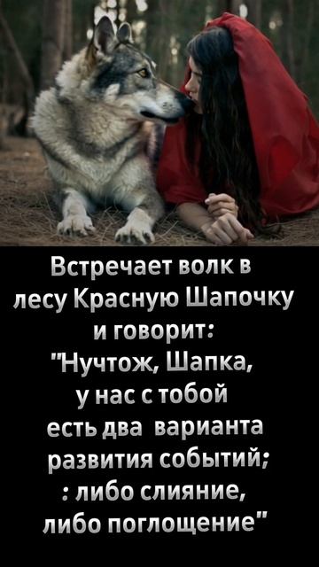Красная шапочка и серый волк)