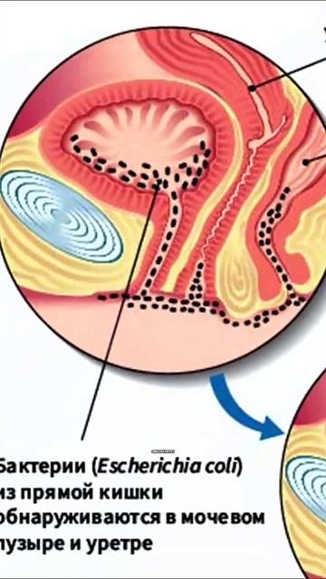 Подпишись, чтобы не пропустить новое видео💕