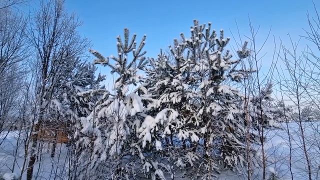 Зимняя природа во всей красе.