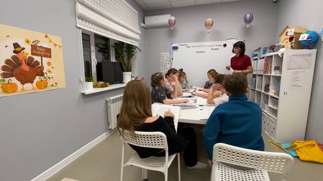 Gracie. Owl’s story. November, 25th