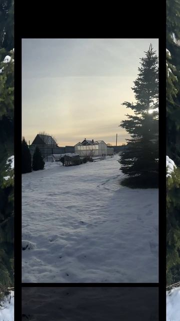 project-2025-11-25 03:38:26.2840