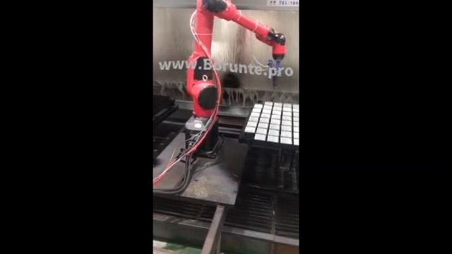 20. Жидкостная электростатическая покраска на двух столах промышленным роботом BORUNTE