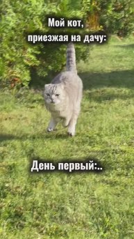 Не рассчитал силы😅