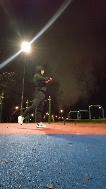 petal_20251124_193648.mp4