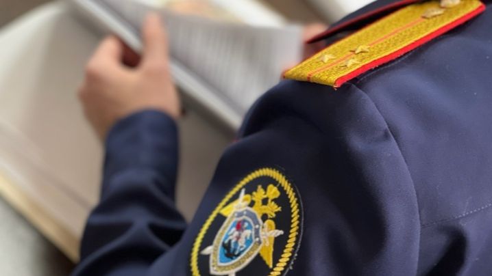 Убившая шестилетнего сына москвичка думала о преступлении два месяца