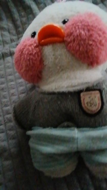 Хотите контент про уточку?