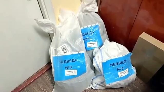 Доставочки и благодарочки