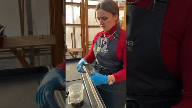 ПОДКОРМКА ДЛЯ ПЛОДОНОШЕНИЯ КОМНАТНЫХ ПЕРЦЕВ, ЧТОБЫ БЫЛ УРОЖАЙ