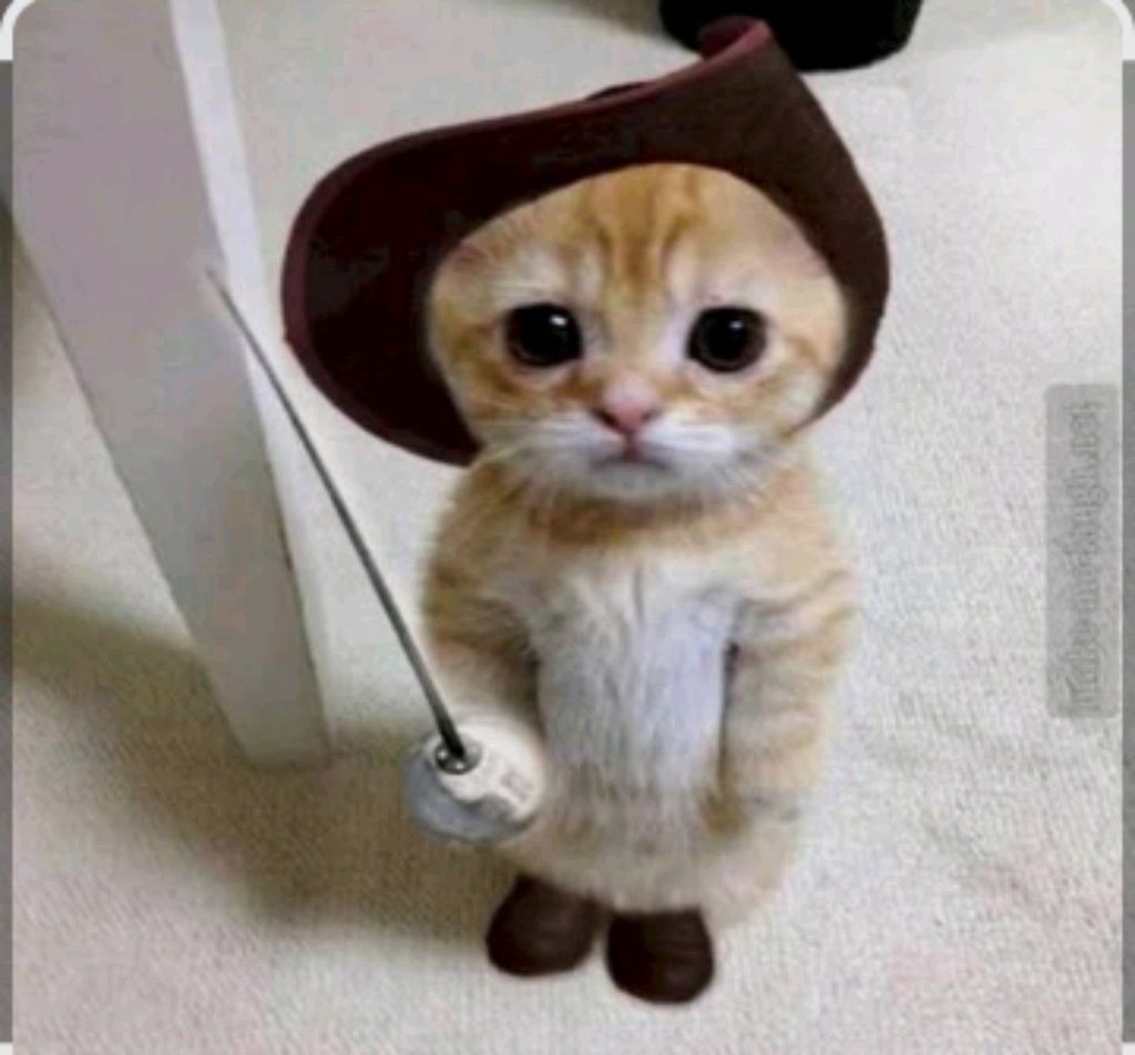 будем играть в роблокс