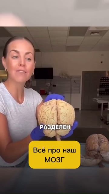 🧠🧠 Всё про наш мозг 🧠🧠