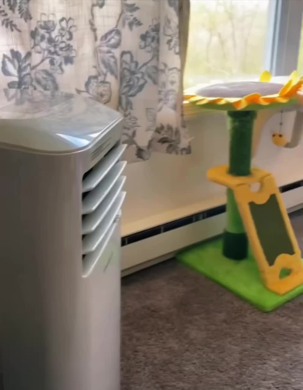 Оо ветерочек