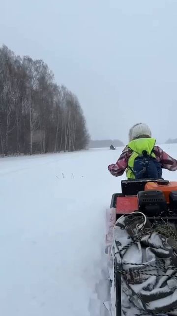 Поездка на Пёселях в Таёжнике 221125