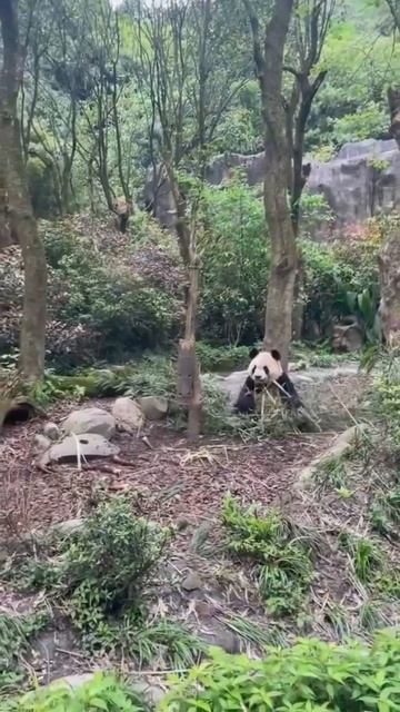 Видео от VIBE | Мысли & Факты