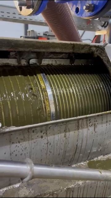 Проект коровника