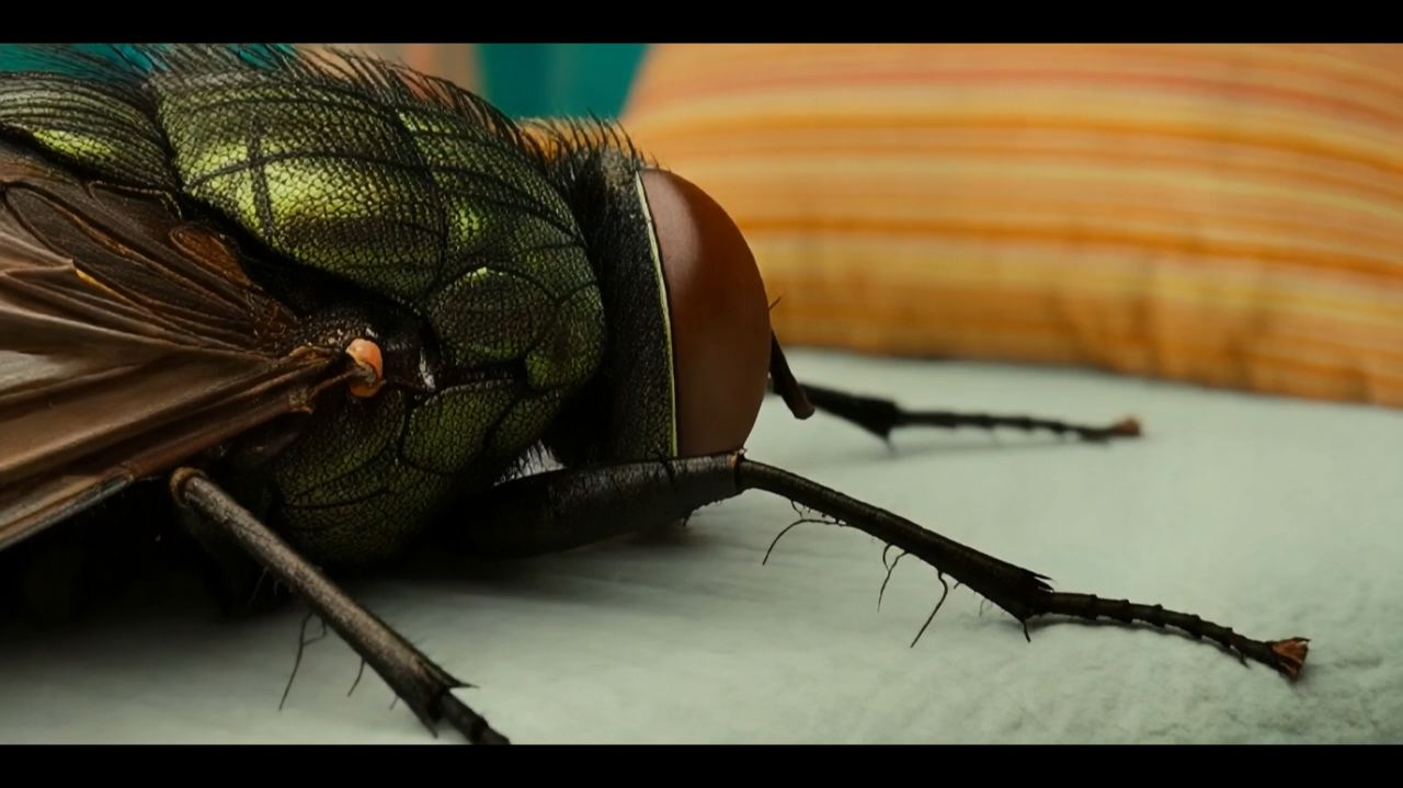 ГИГАНТСКИЕ ЖИВОТНЫЕ УЖЕ ДОМА!!🫨🫨🐕😾🪰🐁ТАКИЕ РАЗНЫЕ И ВСЕ ОГРОМНЫХ РАЗМЕРОВ! ЖМИ БЫСТРЕЕ!!