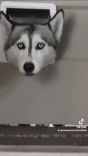 🤣🤣🤣🤣🤣🤣🤣🤣🤣