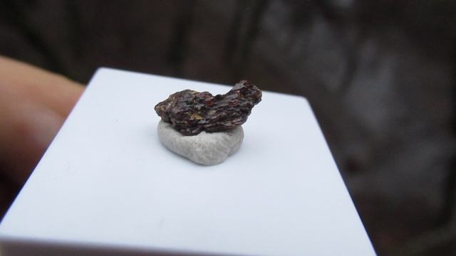 Пейнит купить