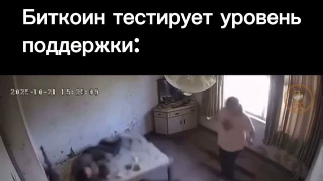 VID_20251120_095223_179.mp4