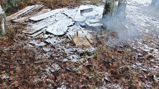 Бульдог петарды ( 4 штуки )