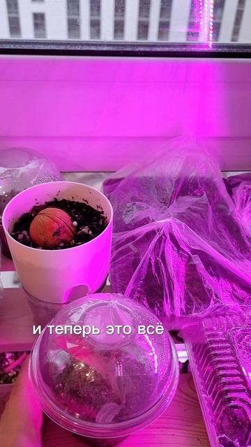 Не ботаник,практик🌿🧪😍