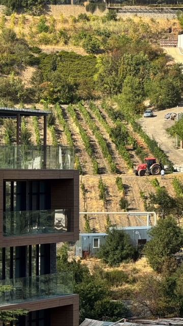 Новостройки Гурзуфа у моря, курортная недвижимость Южного Берега Крыма Ялта квартиры