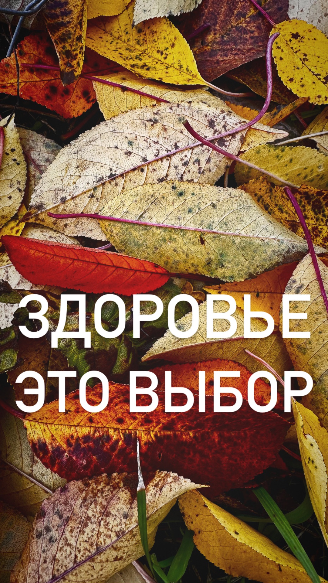 Здоровье - это выбор