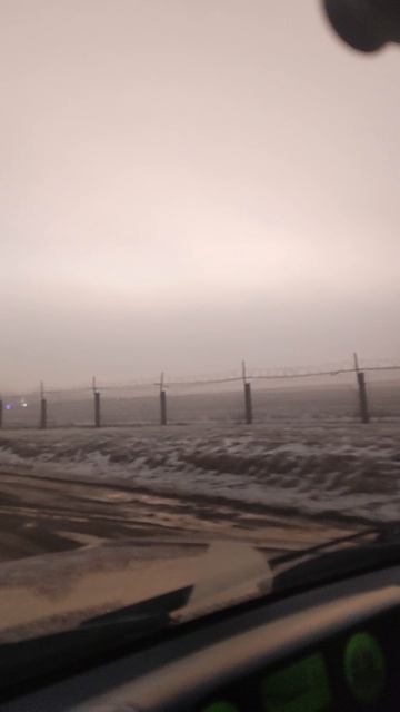 Омские туманы