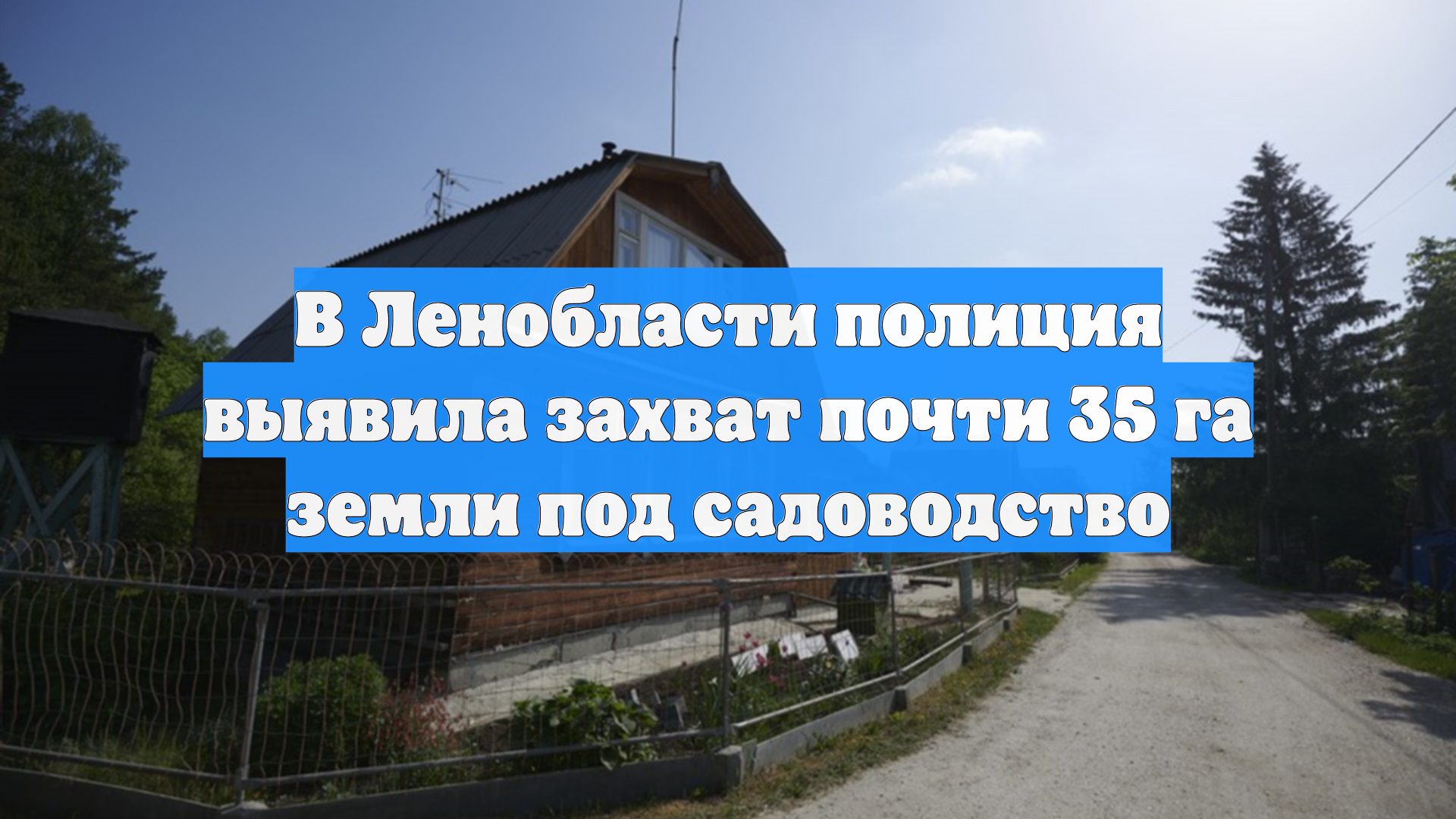 В Ленобласти полиция выявила захват почти 35 га земли под садоводство