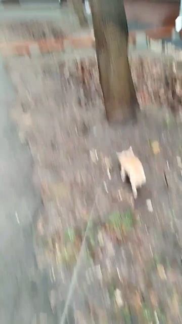 Сеню в ленту ❤️