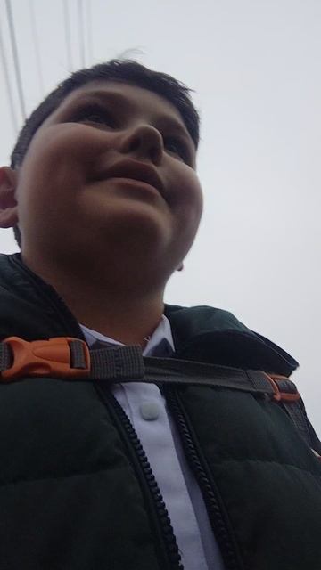 собачий диктор