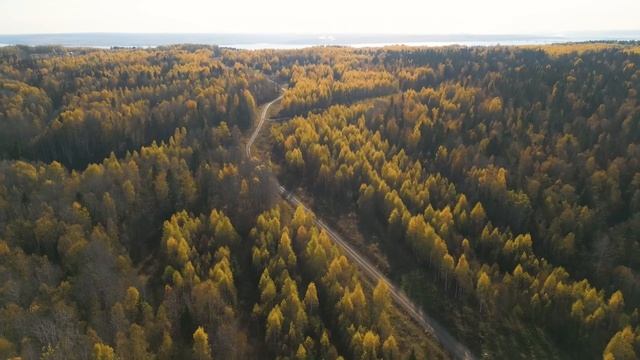 Бобки 3 очередь ОСЕНЬ 2025