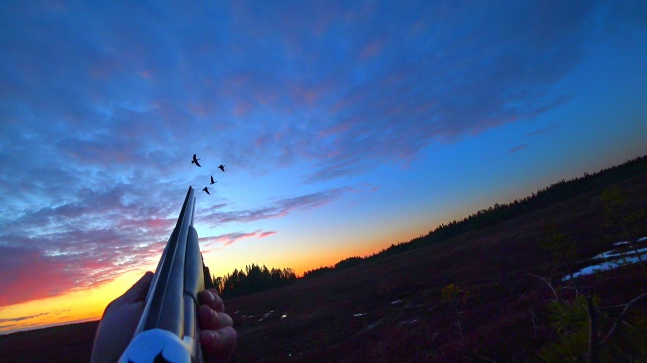 Охота на Гуся и Утку. Лучшие Моменты 2025г.