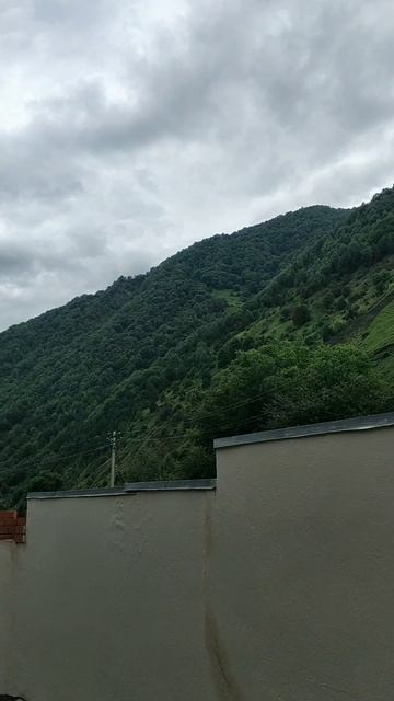 Вид с райфина