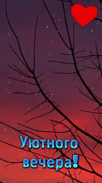 Сегодня розовый вечер!😇